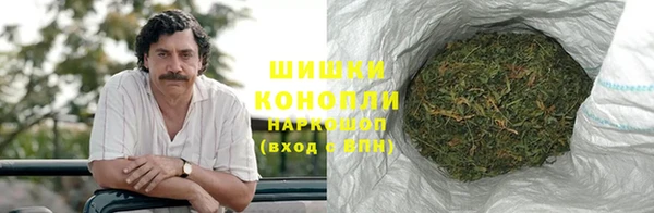 спиды Богородск