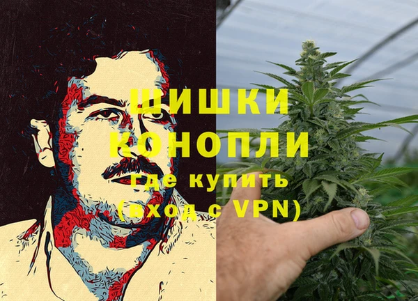 МДПВ Богородицк